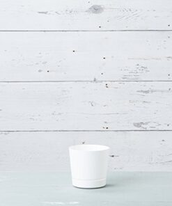 Novelty Majestic Full Depth Round Cylinder Pot, Glossy White, 6-Inch (10062) 21 41zJsJDC8qL