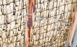 Litcher Globe String Light Suspension Kit, Outdoor Light Guide Wire, Vinyl Coated Stainless Steel Steel Cable,Include 150fts Transparent PVC and 304 Stainless Steel Wire Cable, Turnbuckle and Hooks 47 41zOwYDPtbL