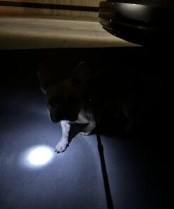 Small Dog Light - Dog Collar Light - Bubbas Leash Light - 2 Per Pack - Dog Walks & Backyard Monitoring. Attaches to Leash, Dog Collar, Harness. Small & Large Dogs. (Stealth Black) Bubba's Leash Light 32 51 UiXrOOBL