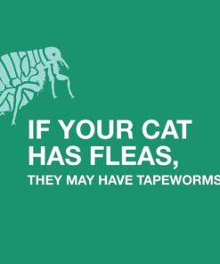 Bayer Expert Care Tapeworm Dewormer for Cats (3 count) 15 51 vDToYZL
