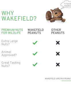 Wakefield Extra Large Virginia Peanuts for Animals, 25 LBS Peanut 25 Pound (Pack of 1) 22 510gTU A6oL