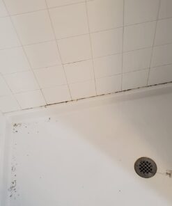 ALLWAY CT31 3-in-1 Caulk Tool for Removal and Application 1 Pack 43 510gc8SoVbL