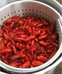 Professional Grade 80 Quart All Purpose Boiling Pot with Basket (3pc) plus a Bonus 12 Quart Stock Pot (2pc) . 11 510hk5cCScL