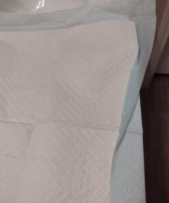 Amazon Basics Dog and Puppy Pee Pads with Leak-Proof Quick-Dry Design for Potty Training, Standard Absorbency, Regular Size, 22 x 22 Inches, Pack of 100, Blue & White Unscented Regular (100 Count) 33 511HLBrs0WL 1