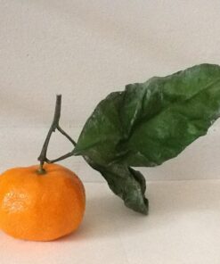 Tetra Whisper Power Filter for Aquariums, 3 Filters in 1, Up to 40-Gallons 33 511PIS1bg4L