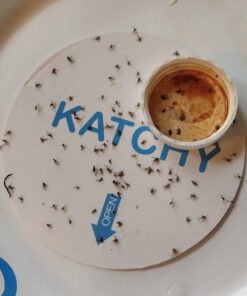 Katchy Indoor Insect Trap - Catcher & Killer for Mosquitos, Gnats, Moths, Fruit Flies - Non-Zapper Traps for Inside Your Home - Catch Insects Indoors with Suction, Bug Light & Sticky Glue (Black) Original Black 46 511SOcE6ZjL