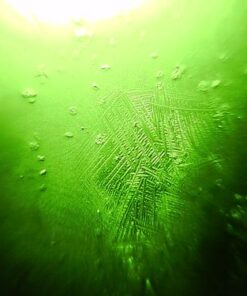 Fairhaven Health Fertile Focus Ovulation Test Kit - Women's Fertility Tracker and Predictor - 3 Days in Advance - Ovulation Kit - Accurate, Reusable Home Saliva Test - Results in Five Minutes 37 511Zr86Xd1L