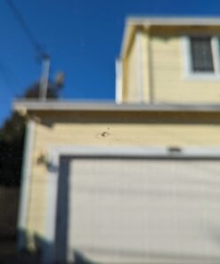 Rain-X 600001 Windshield Repair Kit - Quick And Easy Durable Resin Based Kit for Chips and Cracks, Good For Round Damage Below 1" In Diameter And Cracks Smaller Than 12" In Length, BLUE,YELLOW Pack of 1 Clear 55 511e05HMgiL