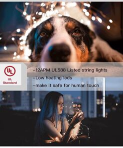 12APM Dimmable Starry Fairy Copper String Lights, 66 ft 200 LEDs with USB Plug in Powered for Bedroom Indoor Wedding Party Halloween Thanksgiving Christmas Ambiance Lighting, IP 65 Waterproof Copper wire-Warm white-200 LEDs 22 511oTd1SfFL