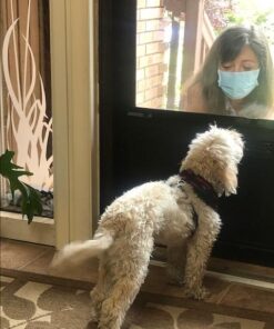 StopWoof Dog Bark Collar - Humane Care Modes, Vibration & Sound - No Shock Training Device For Small, Medium, Large Breeds - No Harm Deterrent Vibrating Control - Reflective & Automatic Without Remote 28 511yG5WdiQL