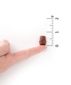 Garden of Life Organics Kids Gummy Vitamins, Certified Organic, Non-GMO & Vegan Complete Children's - B12, C & D3 Gluten, Soy & Dairy Free Real Fruit Chew Gummies, Multi, Cherry, 120 Count 19 511zGViRO5L