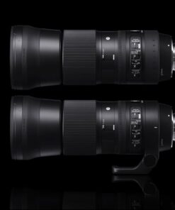 Sigma 150-600mm 5-6.3 Contemporary DG OS HSM Lens for Nikon Nikon F Cameras 54 512RVSmpLDL