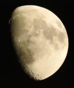 ZOMEI Heavy Duty Camera Tripod Travel Z818 Aluminium Alloy Monopod with 360 Panorama Ball Head Quick Release Plate(Orange) Orange 37 512pmy9zVL