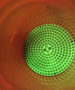 Chemical Guys DIRTTRAP04 Cyclone Dirt Trap Car Wash Bucket Insert Car Wash Filter Removes Dirt and Debris While You Wash (Green) 12" Diameter Great For Washing Cars, Trucks, SUVs, RVs & More Lime Green 49 512ykNYEMuL