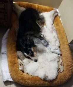 MidWest Homes for Pets Bolster Cinnamon Pet Bed for Dogs & Cats w/ Comfortable Bolster | Ideal for Extra Large Dog Breeds & Fits a 48-Inch Crate | Easy Maintenance Machine Wash & Dry | 48L-Inch 29 5133rdPZBYL