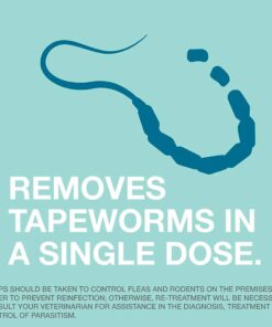 Bayer Expert Care Tapeworm Dewormer for Cats (3 count) 16 5134BXlBngL