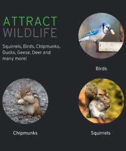 Alternative view of Wakefield Extra Large Virginia Peanuts for Animals, 25 LBS Peanut 25 Pound (Pack of 1)