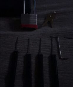 Lion Locks 12 Keyed-Alike Padlocks w/ 2” Long Shackle, 24 Keys, Hardened Steel Case, Pick Resistant Brass Pin Cylinder (12-Pack) for Hasp Latch, Shed, Fence, Gate Chain, Cable, Locker Lock, Gym Door 12PACK Long Shackle 26 513GtOPnCVL