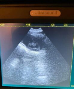 Portable Ultrasound Scanner Veterinary Pregnancy V12 with 3.5 MHz Convex Probe for Sheep, Dog, Cat and Pig. 18 513ILj8h0PL