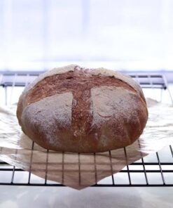 Hoosier Hill Farm Dry Malt (Diastatic) baking Powder 1.5 lb. 49 513KdrH87YL