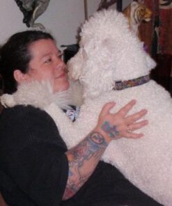 Maxshop Dog Grooming Kit, Low Noise Rechargeable Dogs Shaver Clippers Electric Quiet Dog Hair Trimmer for Dogs and Cats with Comb Guides Scissors Nail Kits (Gold Black) Gold Black 65 513Q2KvU9JL