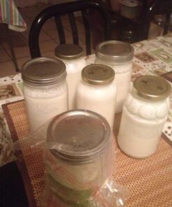 Cultures for Health Milk Kefir Grains | DIY Frothy Dairy Non-GMO Probiotic Drink for Stronger Gut Health | Limitless Heirloom Style Starter | Easy to Flavor or Add to Recipes | Bulgaros De Leche 65 513wUIdNIhL