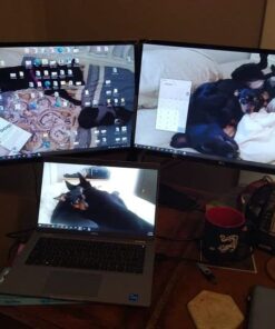 uni USB C to HDMI Cable for Home Office 6ft (4K@60Hz), USB Type C to HDMI Cable, Thunderbolt 4/3 Compatible with iPhone 15 Pro/Max, MacBook Pro/Air 2023, iPad Pro, Surface Book 2, Galaxy S23 Grey 1 42 513wxZ9SOL