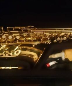 Jean Paul AS-400 Alto Saxophone - Golden Brass Lacquered Saxophone only 34 5141M9nfsqL