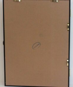 Large 19"X 14" Pin Display Case Medal Shadow Box with 98% UV Protection for Military Medals, Beach Tags, Jewelry Pins, Pin Gift, Insignia Ribbons, Pin Collectibles Black Finish 27 514CrxUsizL