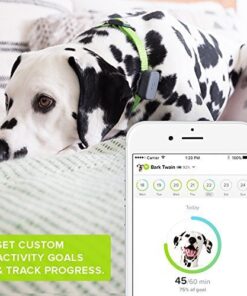 Whistle 3 / GPS Pet Tracker & Activity Monitor / Grey 38 514cwnuSSNL