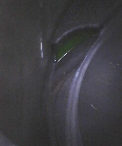 Bar's Leaks HG-1 HEAD SEAL Blown Head Gasket Repair Pack of 1 22 514ti44RMEL