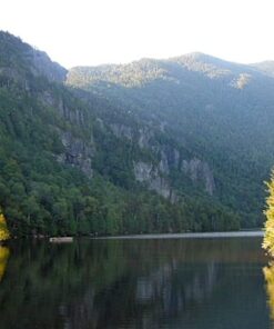 Braiding Sweetgrass: Indigenous Wisdom, Scientific Knowledge and the Teachings of Plants 20 514uXcJkQiL