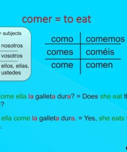 eSpanishTeacher's Beginner Spanish Language Course Software Lessons Version 3.0 with Bonus 101 Spanish Verbs 12 514uw38QeFL