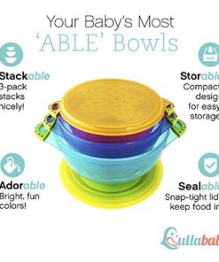 Best Suction Baby Bowls for Toddlers-Toddler Bowls Baby Feeding Set with Baby Utensils | Bonus Baby Spoons and Baby Fork | to Go Baby Bowl with Secure Lids | Suction Plates | BPA Free Suction Bowl 17 515npiPaXeL