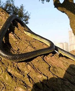 Yoogeer 47 Inches Rubber Lifelike Snakes Scary Gag Gift Incredible Creatures Chain Snakes Rain Forest Snake Toys Wild Life Snakes 13 515rIf4i0ML