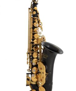 Lazarro Professional Black-Gold Keys Eb E Flat Alto Saxophone Sax, 11 Reeds, Case & Many Extras - 24 COLORS Available - 360-BK BLACK/GOLD Keys 16 515x9vefolL
