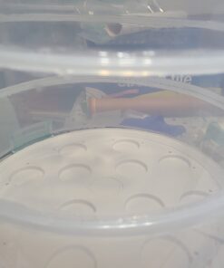 Sweet Creations 3 Tier, Collapsible Cupcake and Cakepop Display Carrier with Handel, White 39 516 fooQ1bL