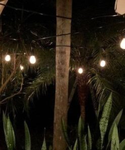 Lemontec Commercial Grade Outdoor String Lights with 15 Hanging Sockets - 48 Ft Black Weatherproof Cord Weatherproof Strand for Patio Garden Porch Backyard Party Deck Yard – S14 Black 41 5163E572bKL