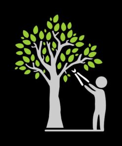 Fiskars 32" PowerGear Bypass Lopper and Tree Trimmer - Sharp Precision-Ground Steel Blade for Cutting up to 2" Diameter - Lawn and Garden Tools - Orange/Black Bypass Lopper 32" 31 516Gd29efhL