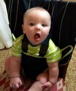 The Original Easy Seat Portable Safety Harness Chair Accessory (Black) - Quick, Easy Cloth Portable High Chair for Travel, Fits in Your Hand Bag as a Convenient Baby Travel Accessory Black 30 516L4rtdKEL