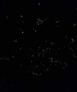 Realistic 3D Domed Glow in The Dark Stars,606 Dots for Starry Sky, Perfect for Kids Bedding Room Gift(606 Stars) (1*Green) 1*Green 38 516OzzCCdhL