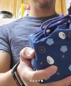 Japanese Traditional Rabbit Blossom Bento Box Set - Square 2 Tier Bento Box, Rice Ball Press, Bento Bag (Blue) 72 516PsNcobCL