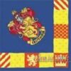 Harry Potter Beverage Napkin 9 516TFi4ryqL