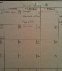 WallPops WPE0447 Large Monthly Dry Erase Calendar Decal, White & Off-White 26 516UAmZjLTL 1