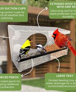 Large Clear Window Bird Feeder - Extended House with Strong Suction Cups - Steel Perch Sliding Feed Seed Tray - See Through Transparent Big Birdhouse - Wild Finch, Cardinal, Blue Jay - Cool Cat Gift 55 516cRLS6hvL