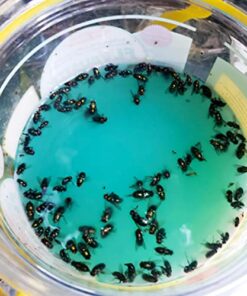 Flybuster Fly Trap - Outdoor Living, Fly Trap, Pest Control Trap for Garden 19 5179H9 ciS