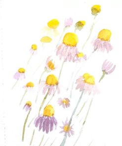 Bellofy Multimedia Sketchbook 100 Sheets | Mixed Media Paper for Drawing & Painting | Drawing Paper for Artists, Beginners & Kids | Sketchbook Mixed Media for Acrylic, Watercolor, Graphite & More 64 517C0In3l1L