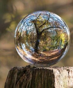 The Heart of the Shaman: Stories and Practices of the Luminous Warrior 21 517IVxhYbdL