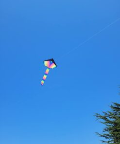 AGREATLIFE Rainbow Kite for Kids & Kites for Adults Easy to Fly, Kites for Kids Ages 4-8 Easy to Fly, Large Kites for Kids Ages 8-12, Kites for Toddlers Age 3-5, Beach Kite, Kids Kite for Beginner Classic Rainbow 40 517K9NSpDL 2
