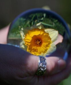 Amlong Crystal Meditation K9 Crystal Ball 3.25 inch (80mm) Diameter for Photography, Lensball, Decorative Ball with Free Crystal Stand and Gift Box, Clear 33 517dn5HC9aL